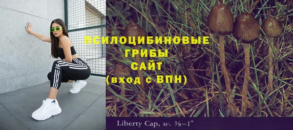 не бодяженный Алексин